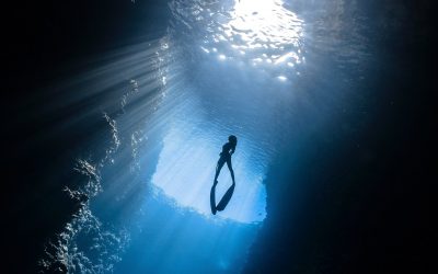 Blue Ocean Strategies